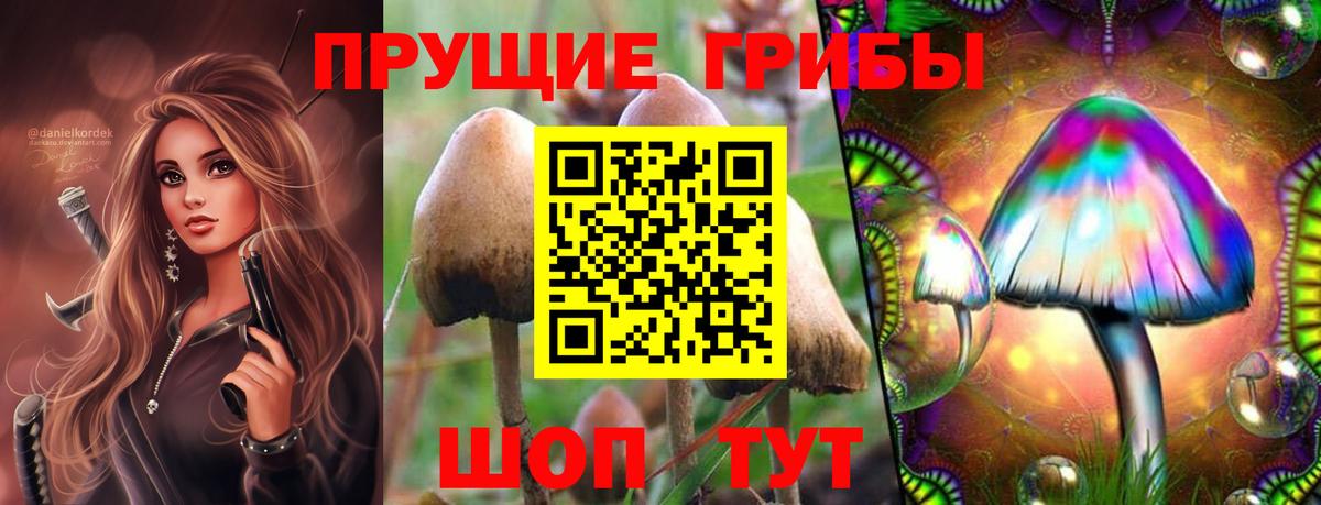 Галлюциногенные грибы ЛСД Дедовск