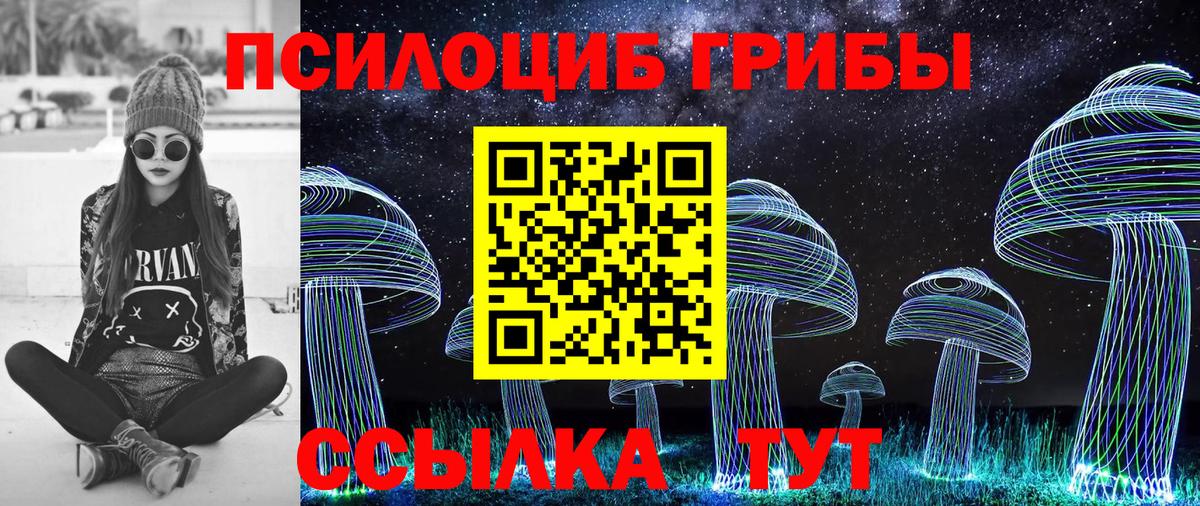 Галлюциногенные грибы Psilocybe  Вход с VPN  Галлюциногенные грибы MAGIC MUSHROOMS  цены наркотик  Дедовск 